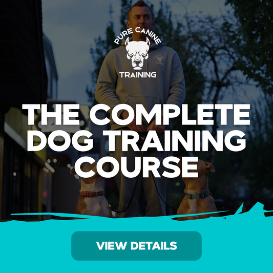 The Complete Dog Training Course