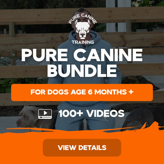 5.webp__PID:b2fae8a2-262c-4d58-94e8-343c683cb610