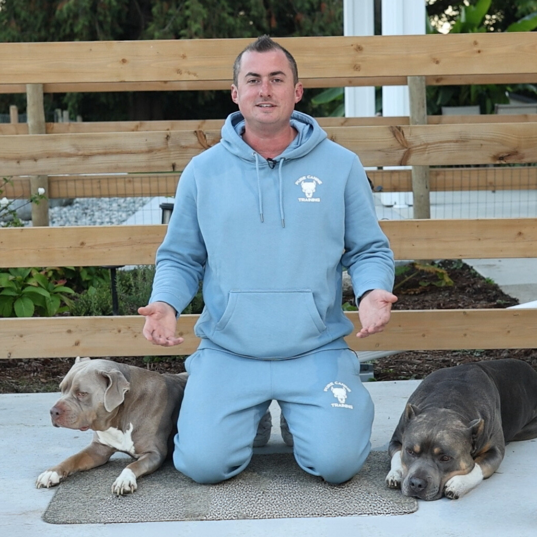 Pure Canine Course Bundle