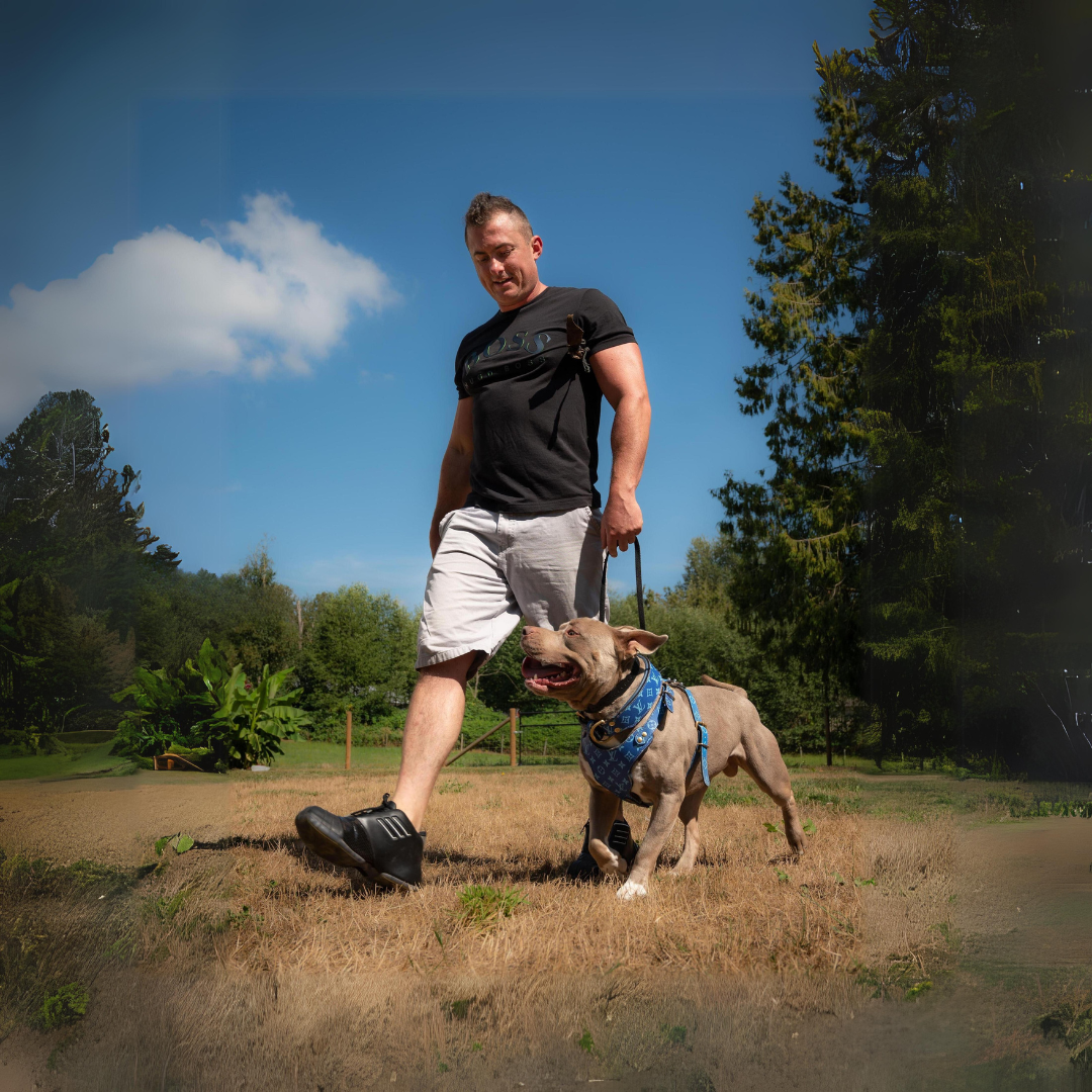 Pure Canine Course