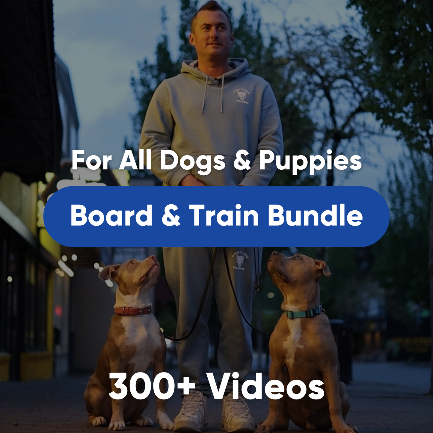 Board & Train Bundle