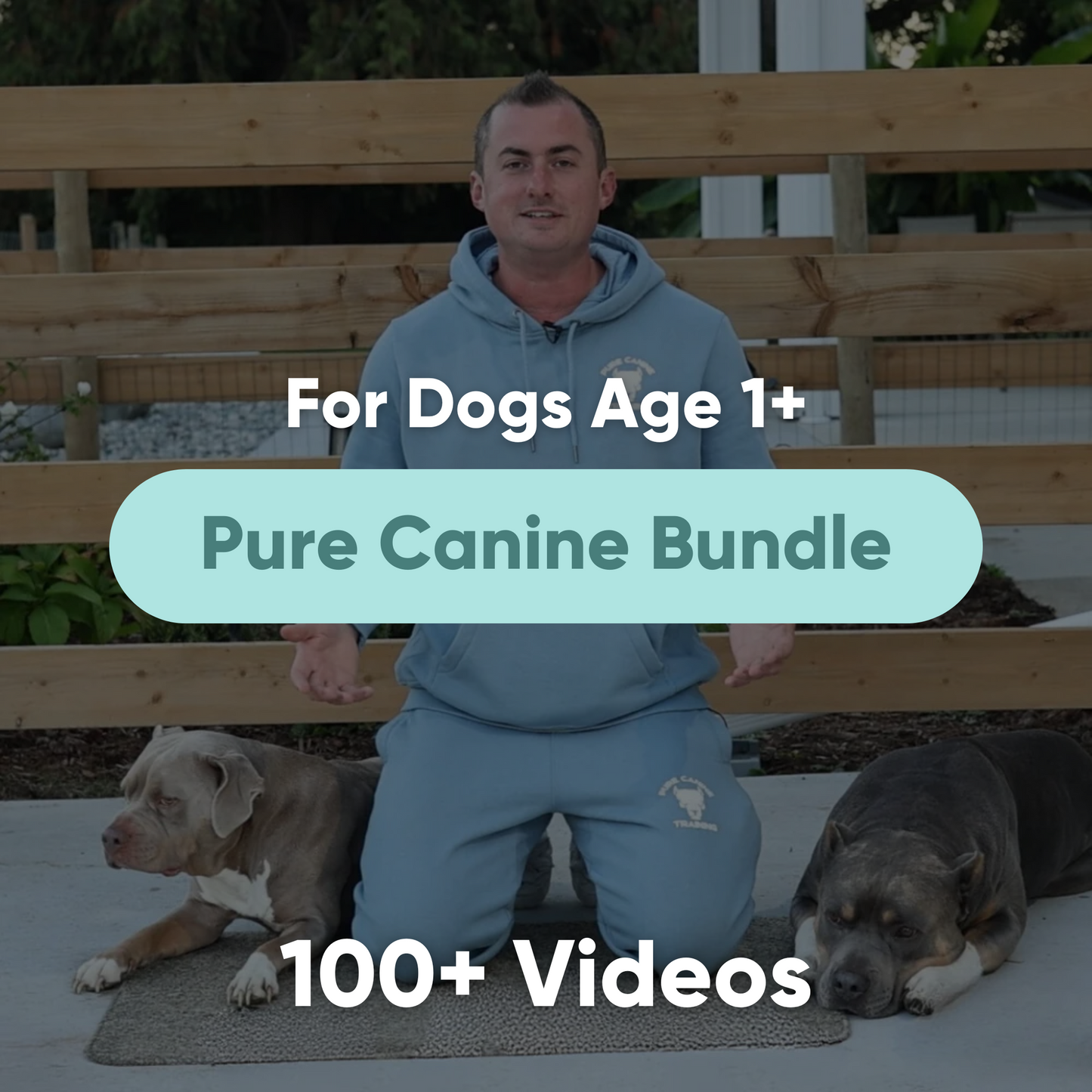 Pure Canine Course Bundle