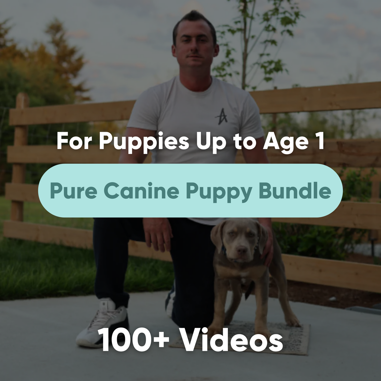 Pure Canine Puppy Course Bundle