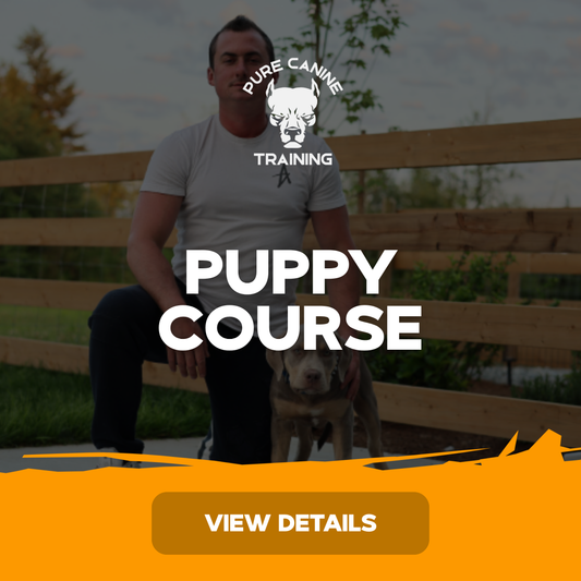 Puppy Course