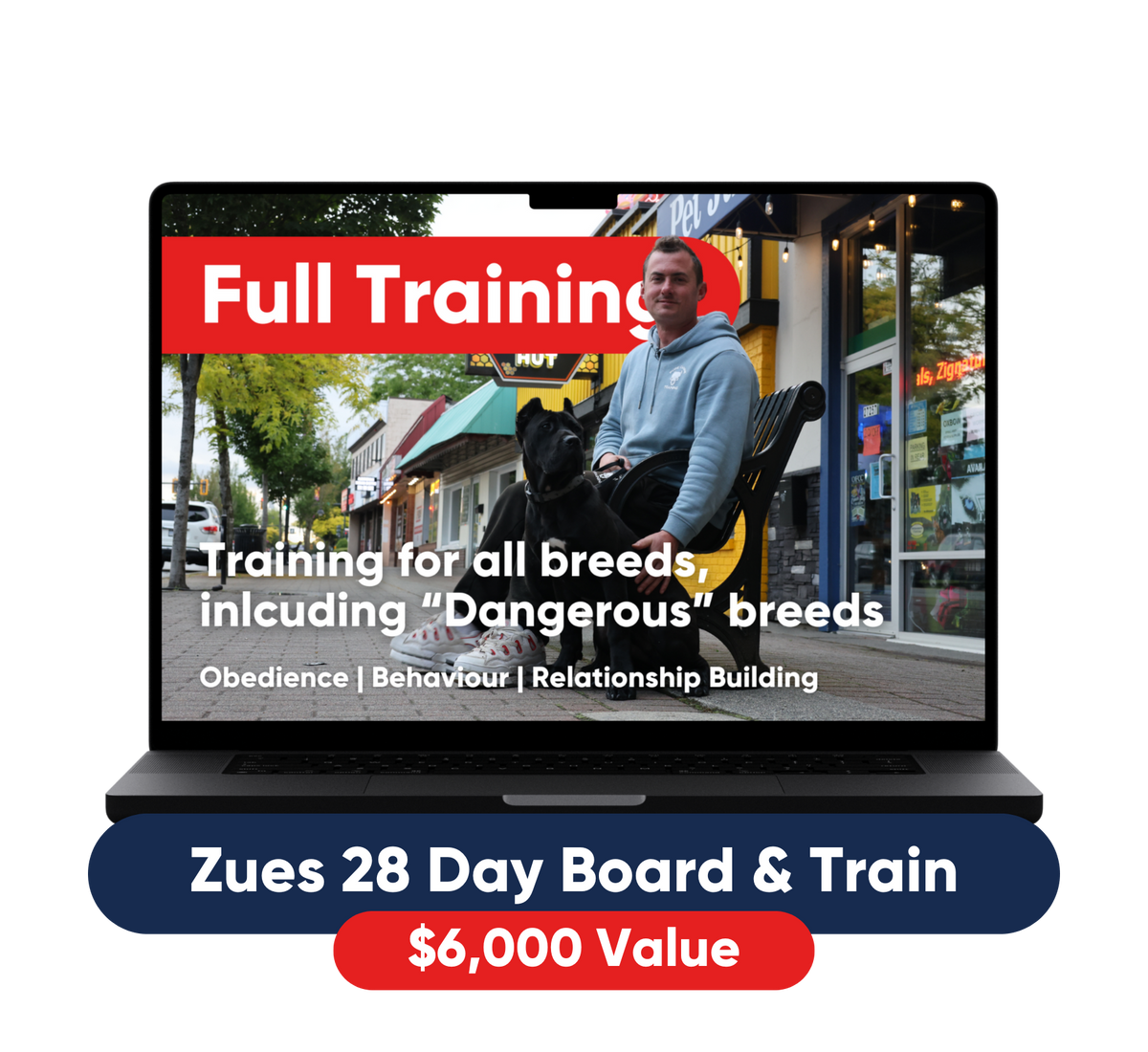 Board and Train – Pure Canine Training