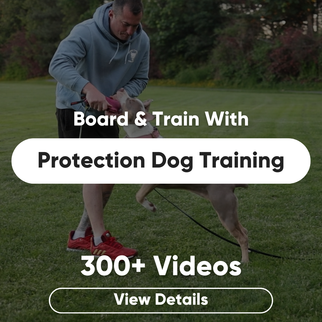 Copy of Pure Canine Product Pages.png__PID:4566f503-e6a4-4def-889c-eb6ab2d47cdb
