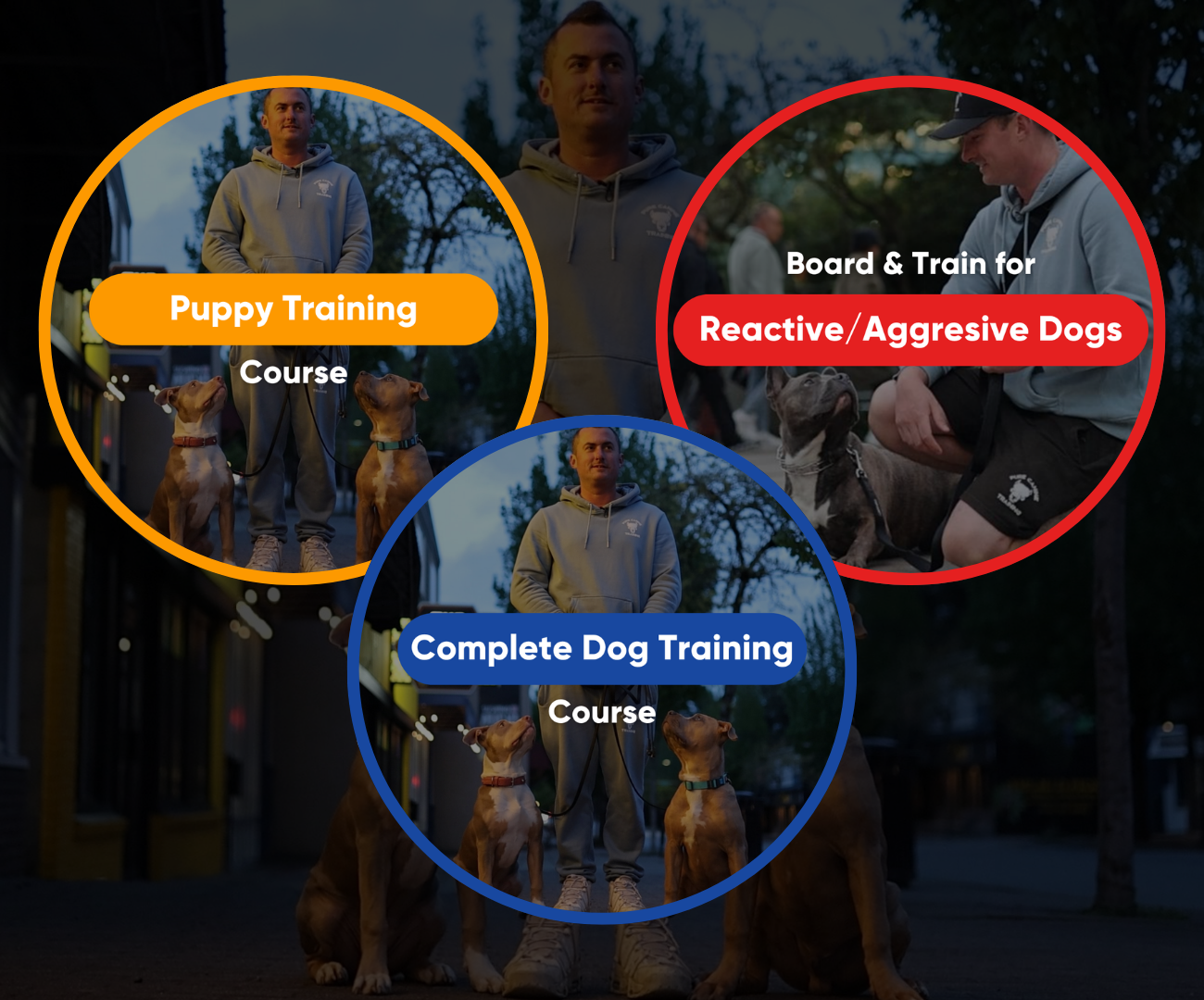 The Pure Caning Training System