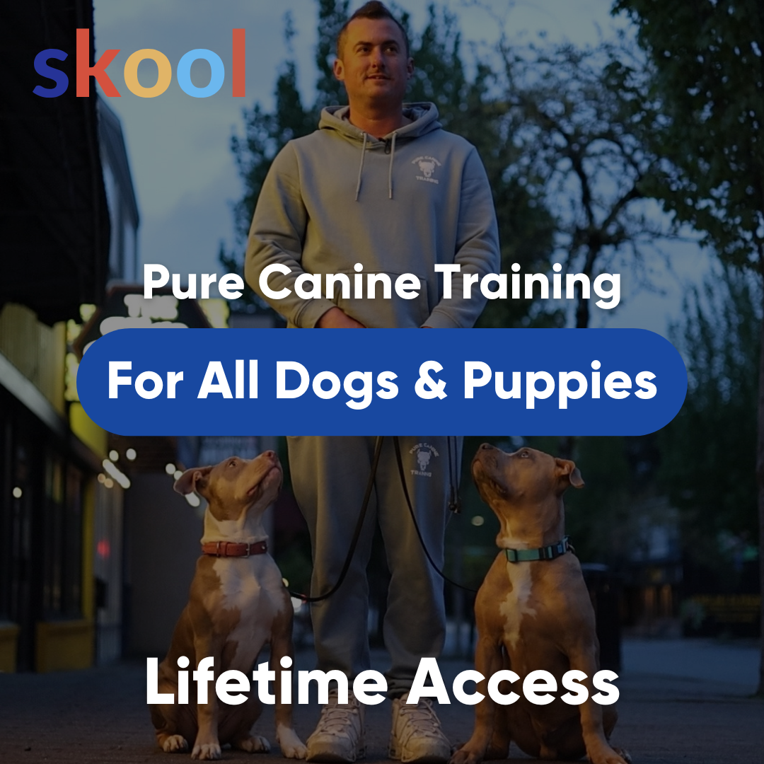 Lifetime Membership: Pure Canine Training (All Courses, Community, & Live Calls)