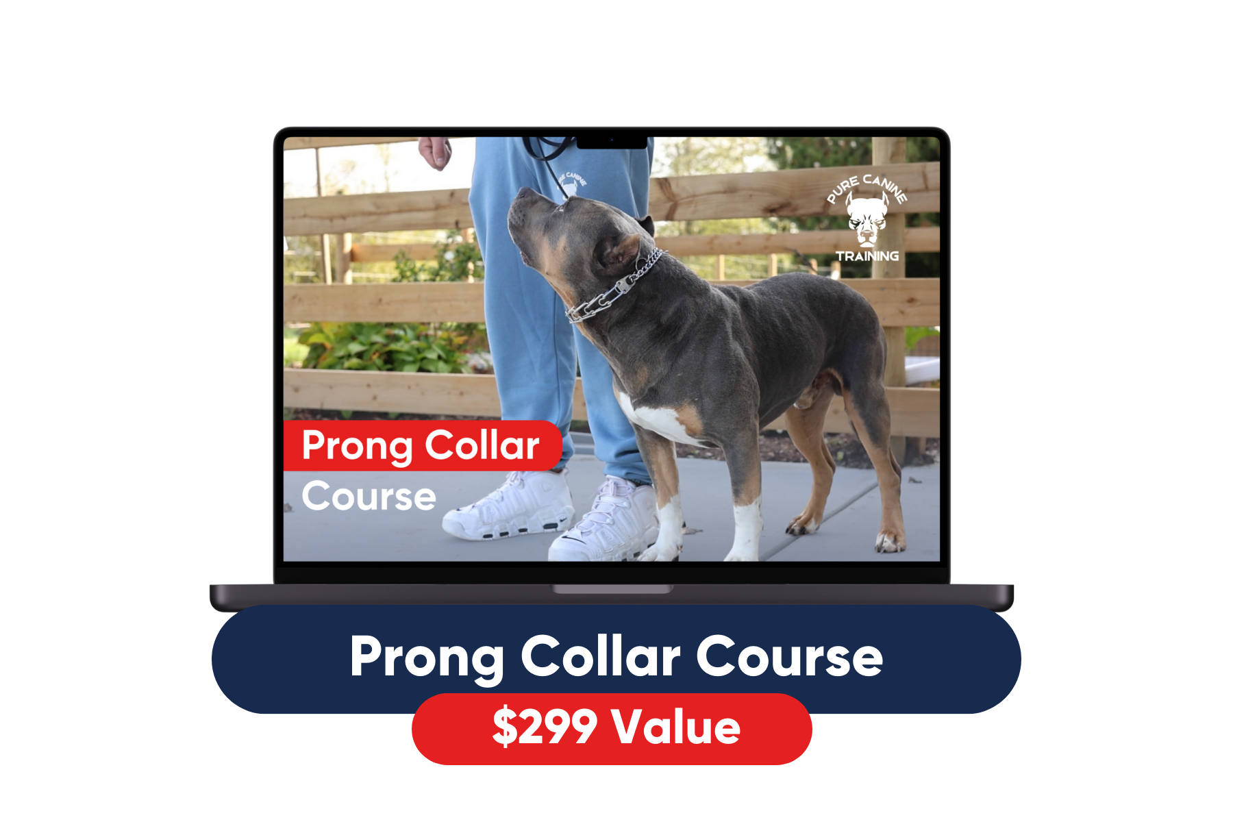 recommended dog training tools