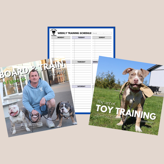 3 Product Bundle: 6 Figure Board & Train Course, Toy Training Course, Weekly Training Schedule PDF