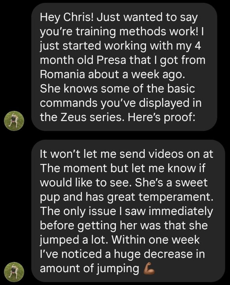 SarabiThePresa Instagram testimonial screenshot: huge decrease in jumping within one week