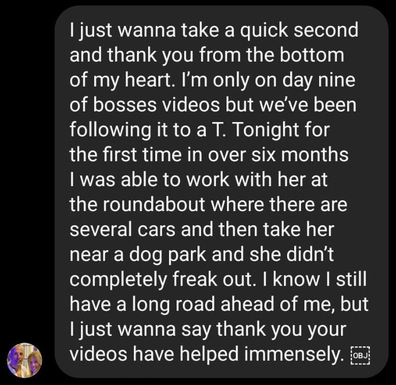 Instagram message screenshot: day nine, calm near cars and a dog park